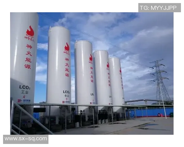 LNG市场竞争策略深度分析与实战经验分享